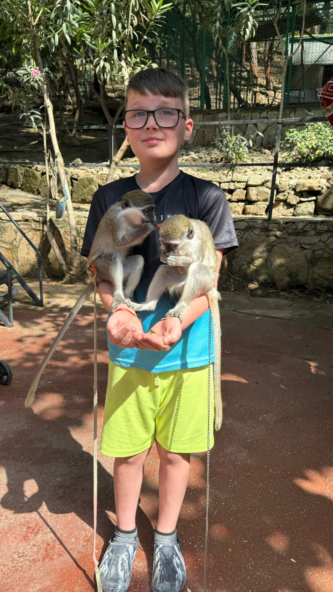 Zoo visit
