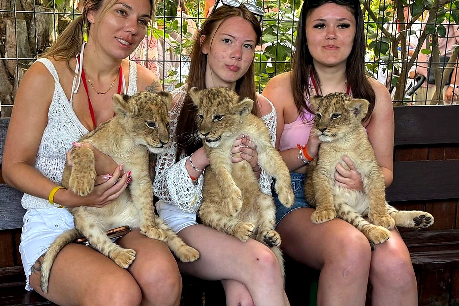 Green Canyon Boat Trip & Lion Park Safari from Antalya